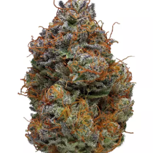 buy blackberry Kush online in Aruba