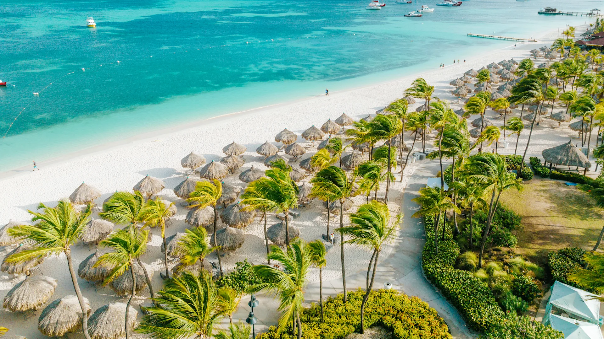 buy weed online in Aruba